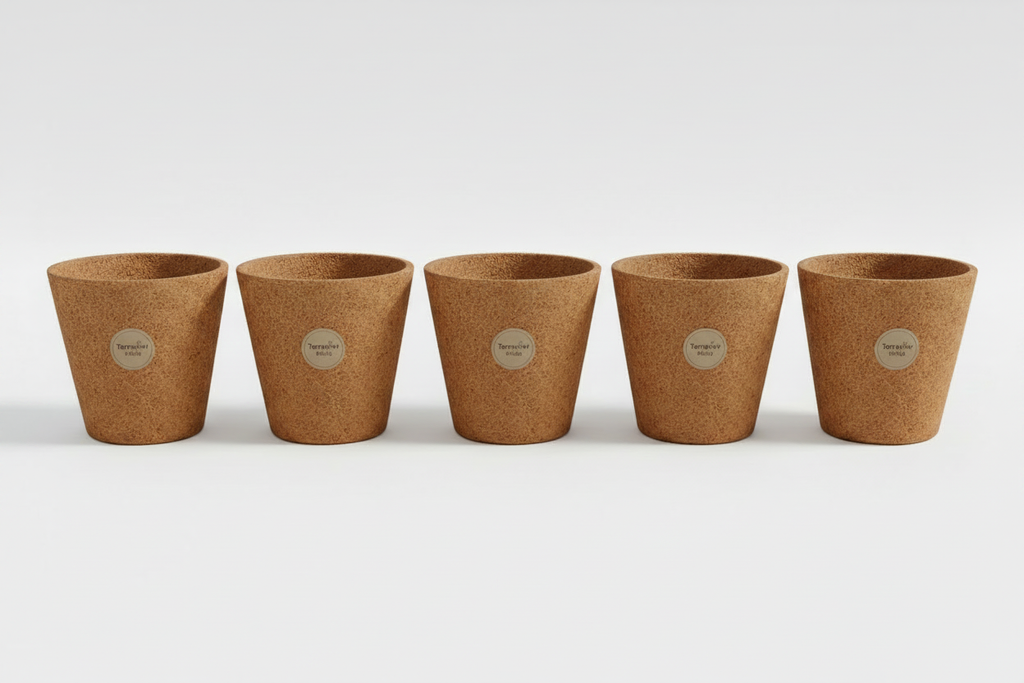 Five Coir Pots in a Row